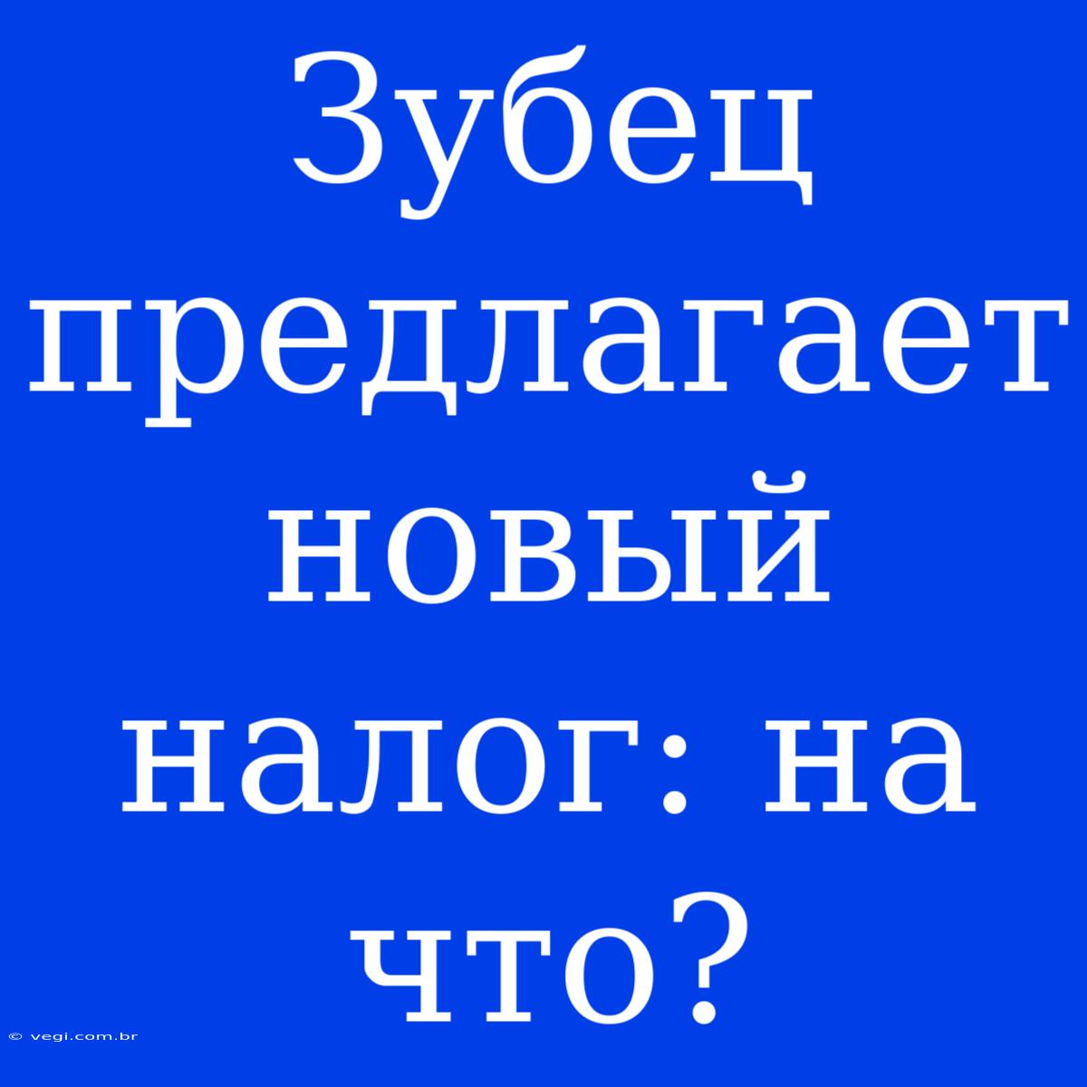 Зубец Предлагает Новый Налог: На Что?